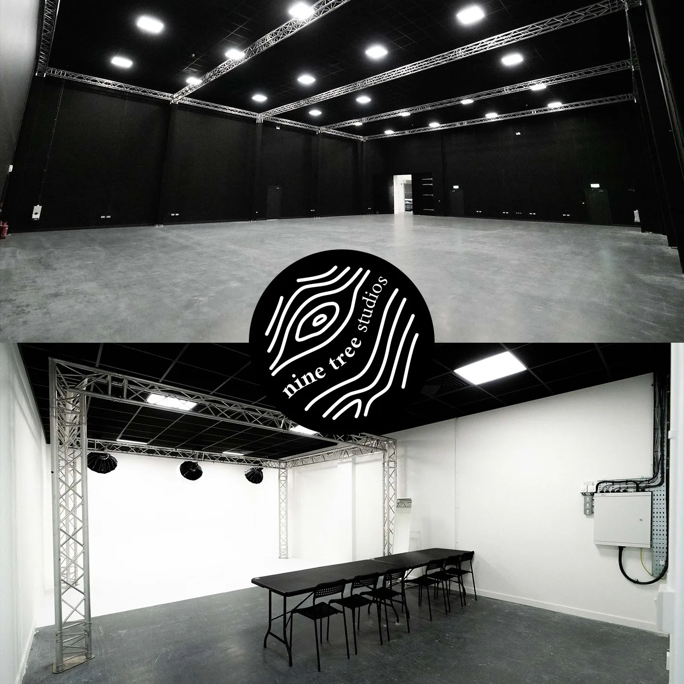 Nine Tree Studios